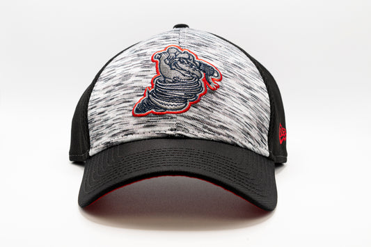 New Era Canalligator Hat