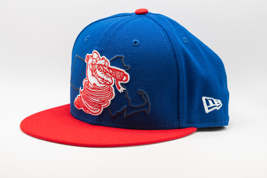 State Outline Snapback